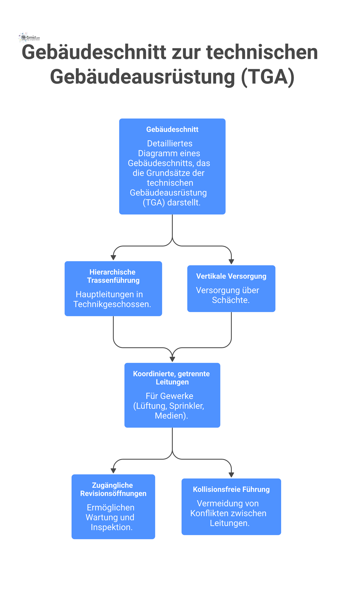 Detaillierter Gebäudeschnitt der die Grundsätze technischer Gebäudeausrüstung (TGA) zeigt, inklusive hierarchischer Trassenführung und kollisionsfreier Leitungen in Schächten.