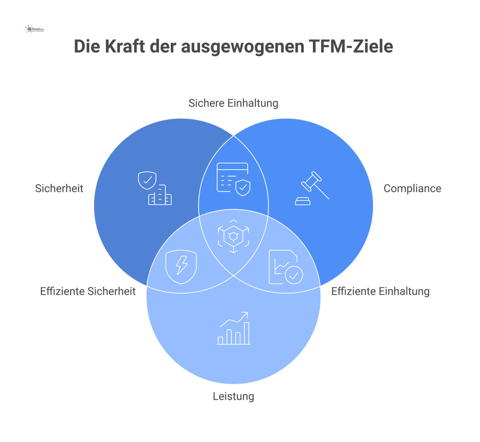 Infografik der sieben multidimensionalen Ziele im TFM, die als ausbalancierte, ineinandergreifende Kategorien um einen zentralen Kern dargestellt sind. 