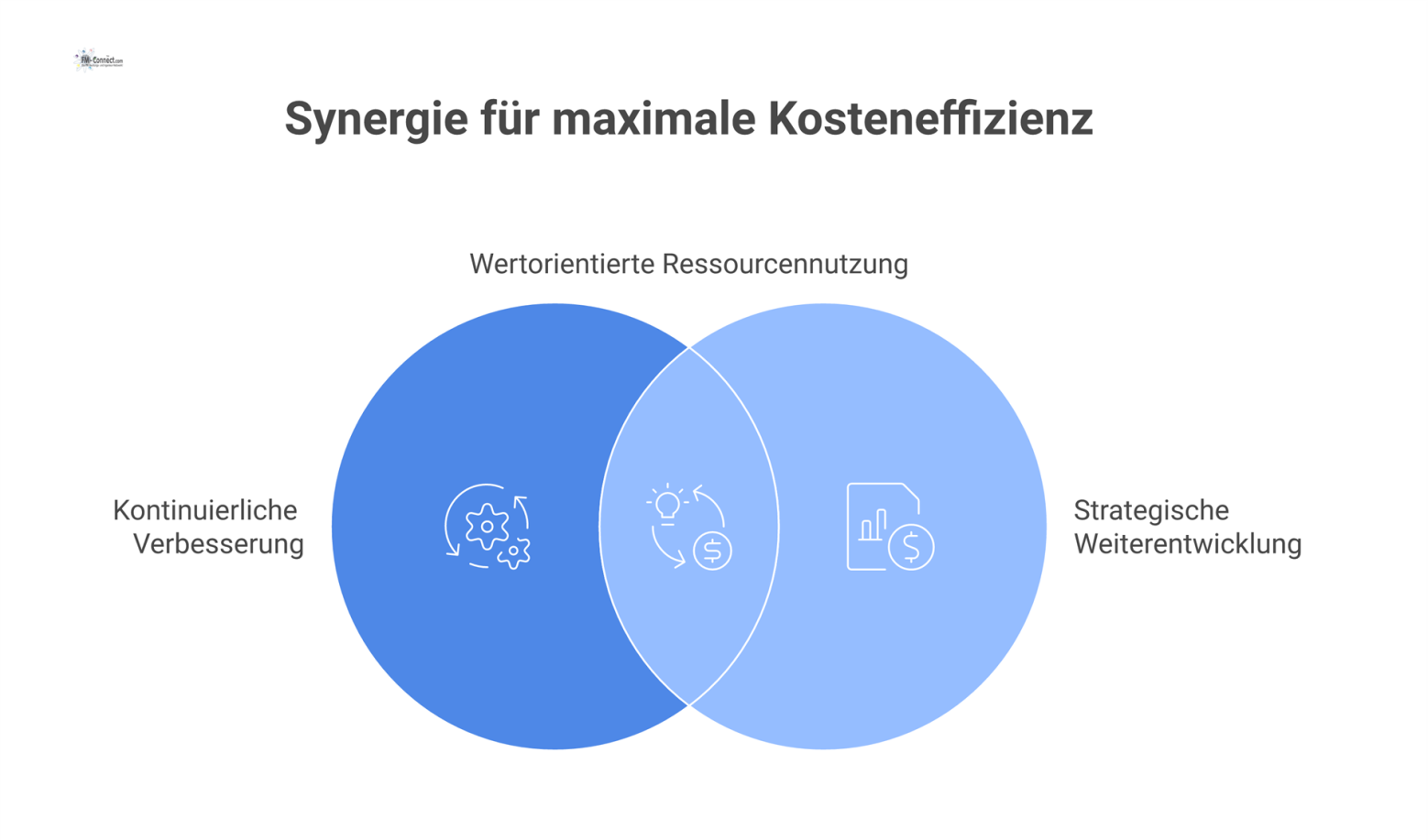 Säulenmodell zur Kostenkontrolle: Zwei Säulen tragen die 'Wertorientierte Ressourcennutzung' unter dem Dach der 'Wirtschaftlichkeit und Kostenkontrolle'. 