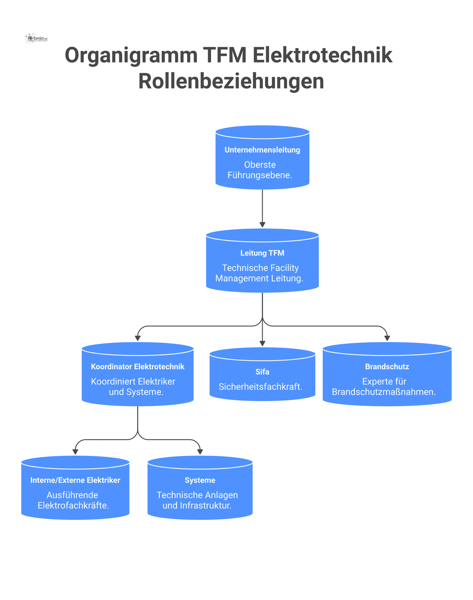 Organigramm der Rollenbeziehungen im TFM Elektrotechnik, das die Hierarchie von der Unternehmensleitung bis zum Koordinator und beratenden Rollen zeigt.
