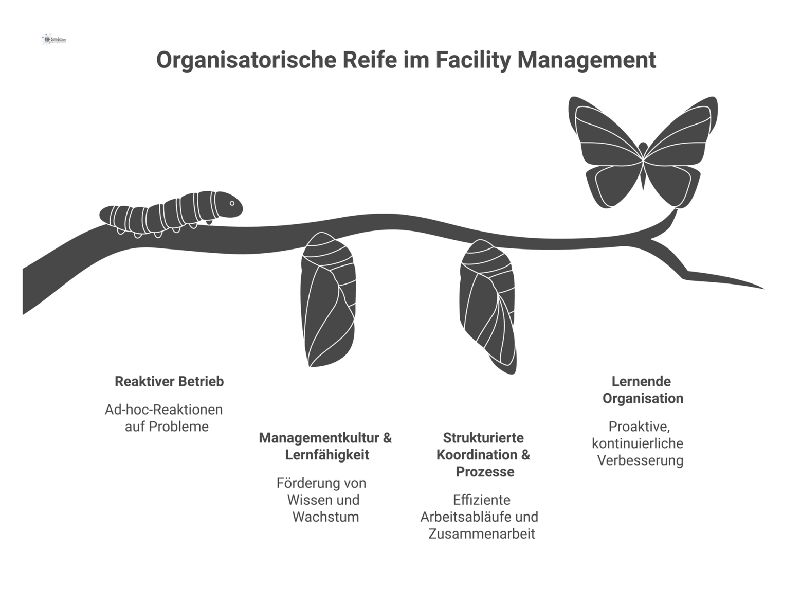 Infografik einer aufsteigenden Treppe, die den Weg vom reaktiven Betrieb zu einer lernenden Organisation im Facility Management darstellt.